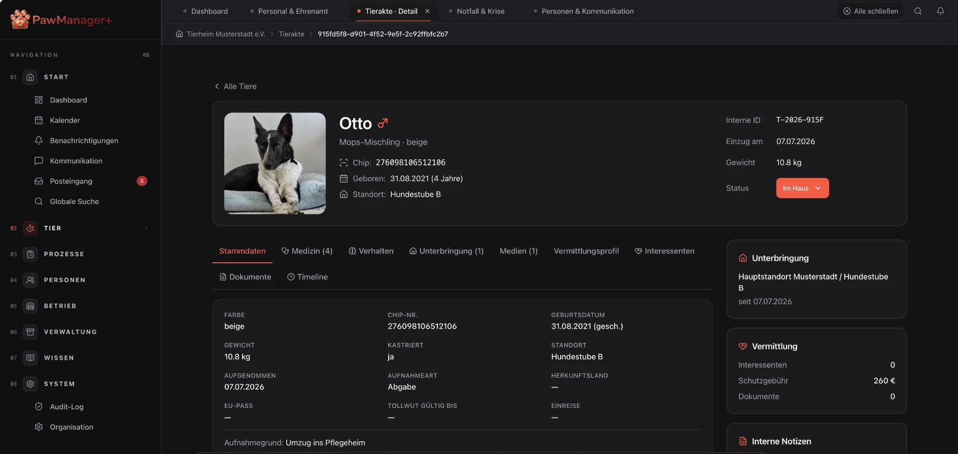 PawManager+ Tierakte des Hundes Otto: Stammdaten mit Chip-Nummer, Geburtsdatum, Gewicht und Status, Reiter für Medizin, Verhalten, Unterbringung, Medien und Vermittlungsprofil sowie Seitenkarten zu Unterbringung, Vermittlung und internen Notizen